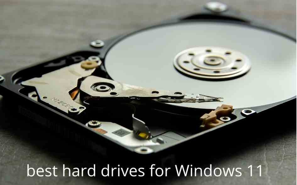 5 best hard drives for Windows 11 [Price & Capacity]
